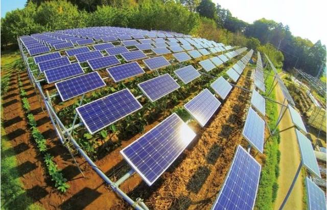 微(wēi)信圖片_20210413110115.jpg 微(wēi)信圖片_20210413110115.jpg